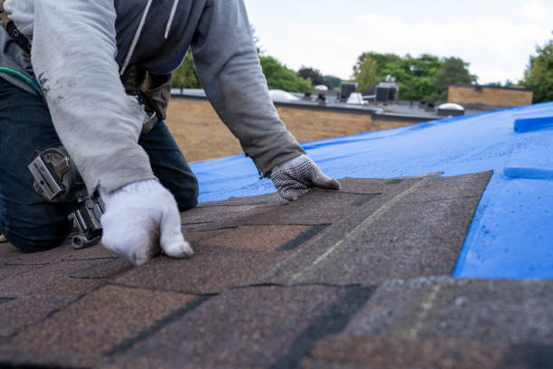 Best Roof Waterproofing Services  in Saucier, MS
