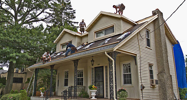 Best Shingle Roofing Installation  in Saucier, MS