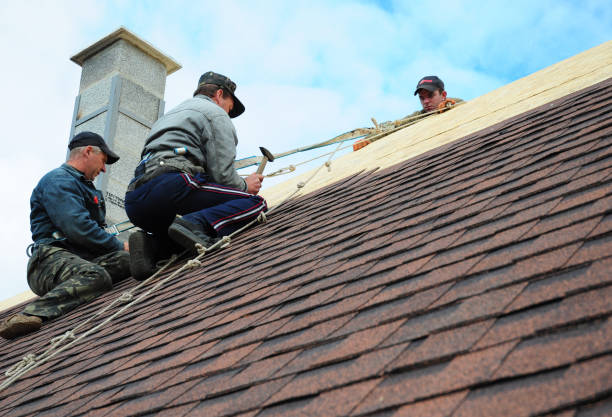 Best Gutter Installation and Roofing  in Saucier, MS