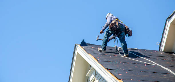 Best Metal Roofing Contractor  in Saucier, MS